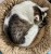 IMG_4824.jpeg