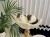 IMG_4772.jpeg