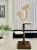 Photoroom_20250111_195321.jpeg