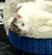 IMG_3216.jpeg